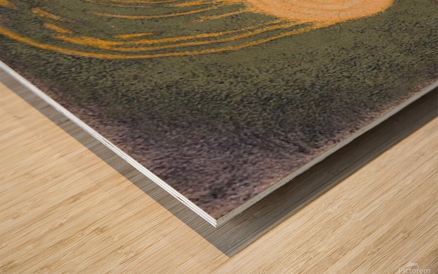 Full Moon  Wood print