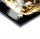 King Charles Acrylic print