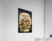 King Charles Acrylic Print