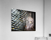 Spectral Source.1 Acrylic Print