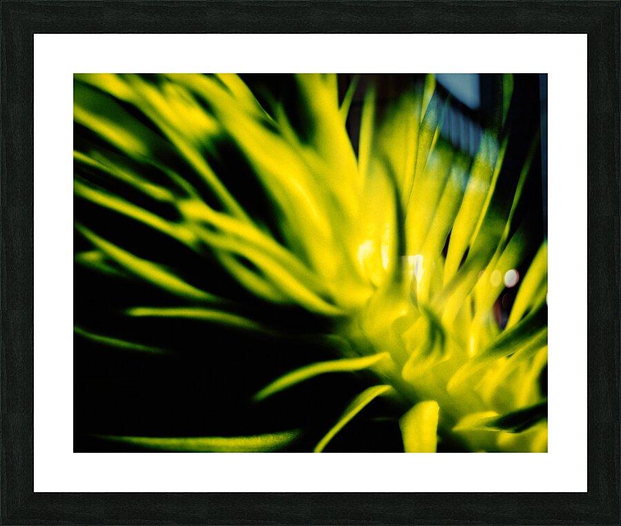 Plant.1 Picture Frame print