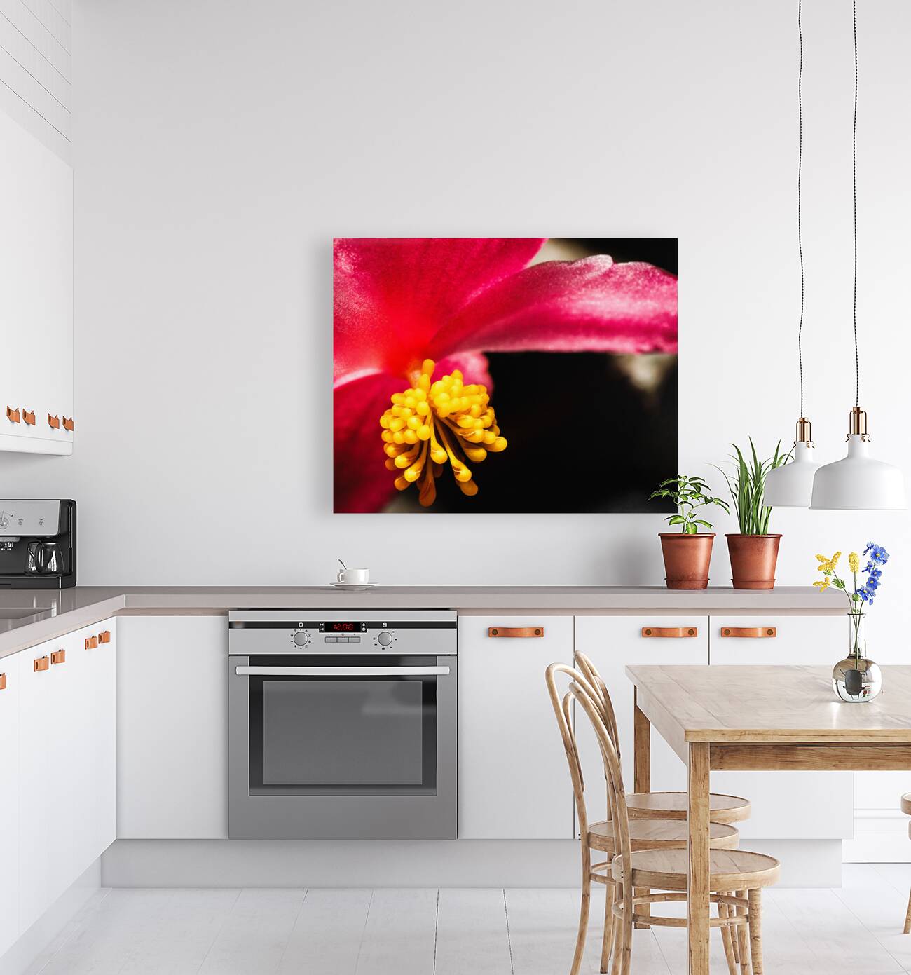 Begonia.1 Reproduction