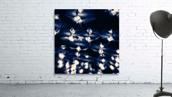 Flocks.1 Wall Preview