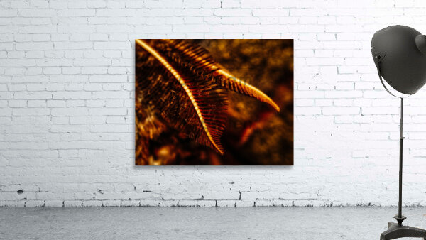 Aerials.1 Wall Preview