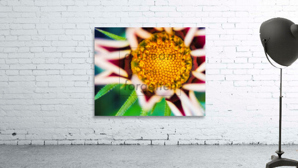 Flower.2 Wall Preview