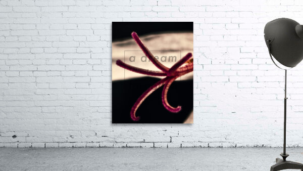 Tendrils.1 Wall Preview