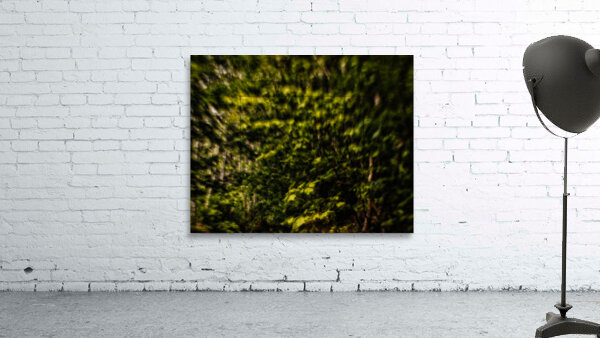 Into the trees.2 Wall Preview