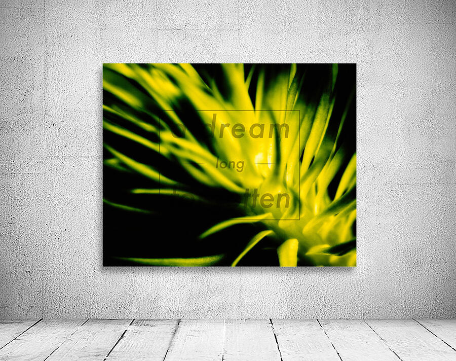 Plant.1 Wall Preview
