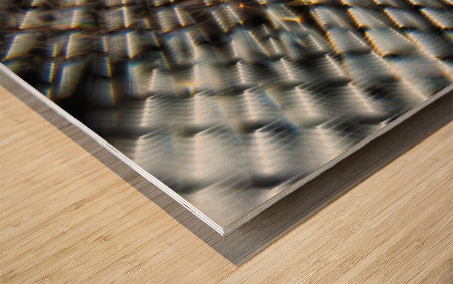 Spectral Source.1 Wood print