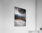 Mount Meeker Acrylic Print