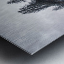 Spire Cove Impression metal