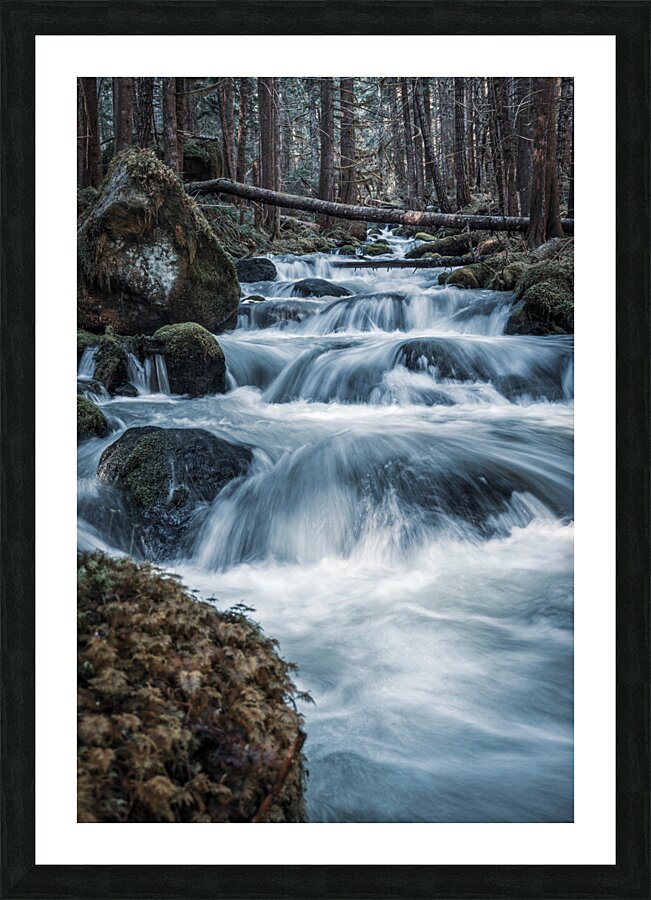 Olympic Picture Frame print