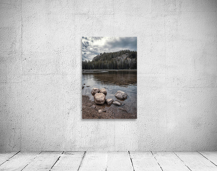 Magical Montana Wall Preview