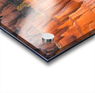 Bryce Canyon National Park Hoodoos Acrylic print