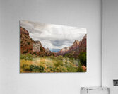 Prickly Pear and Sandstone Zion National Park Acrylic Print