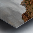 Prickly Pear and Sandstone Zion National Park Metal print