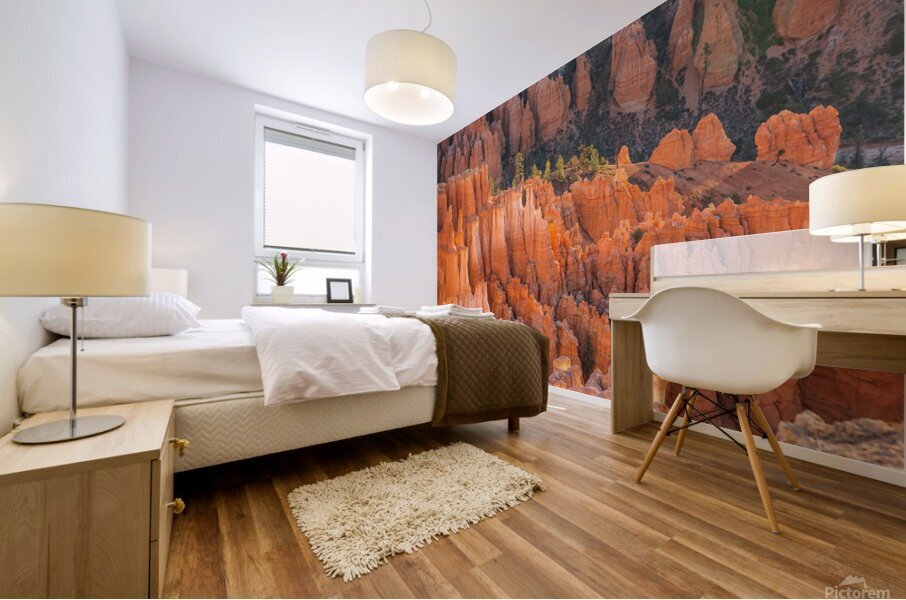 Bryce Canyon National Park Hoodoos Mural print