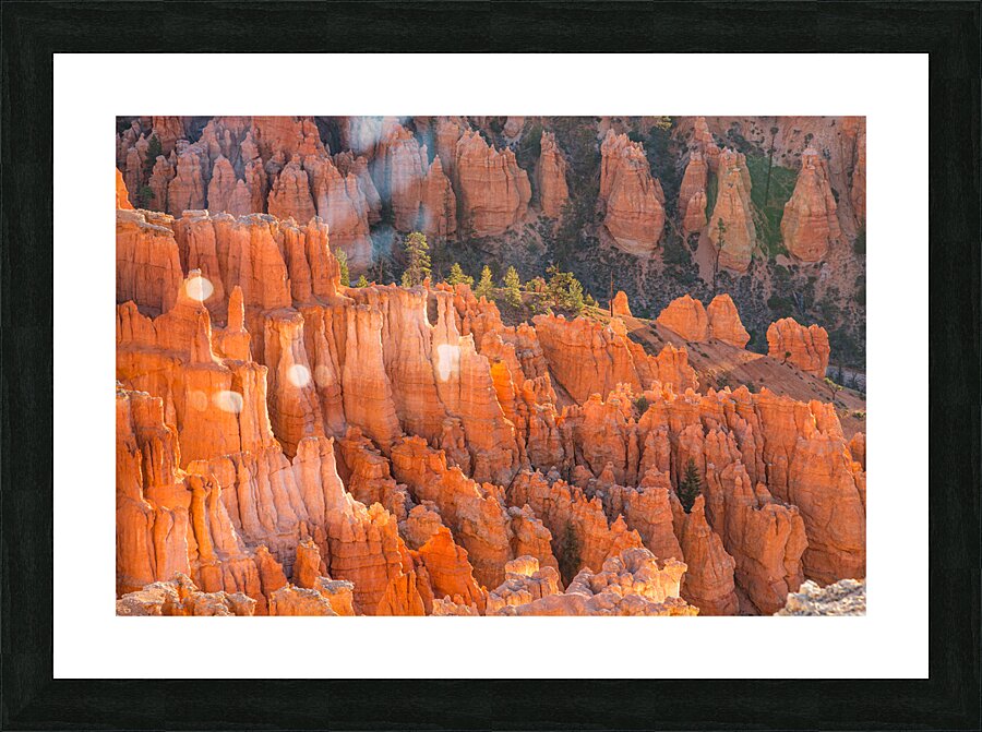 Bryce Canyon National Park Hoodoos Picture Frame print
