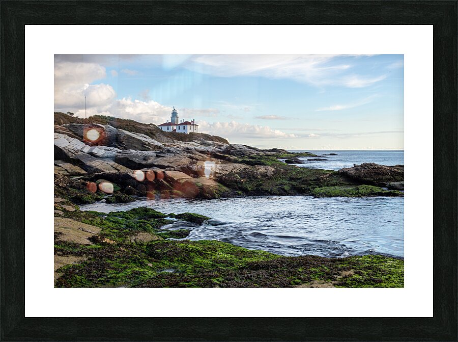 Lighthouse at Beavertail Picture Frame print