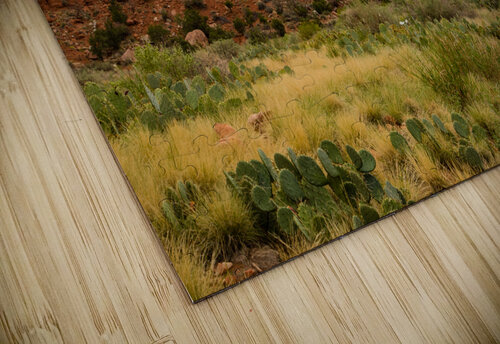 Prickly Pear and Sandstone Zion National Park Andrew Pacheco puzzle