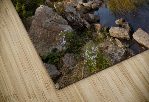 Upper Hadlock Pond Acadia Andrew Pacheco puzzle