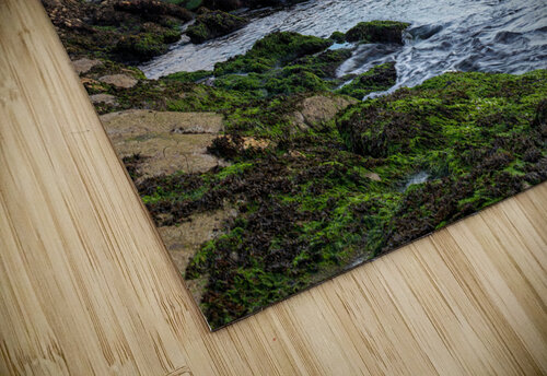Lighthouse at Beavertail Andrew Pacheco puzzle