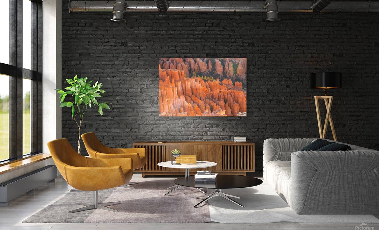 Bryce Canyon National Park Hoodoos Reproduction