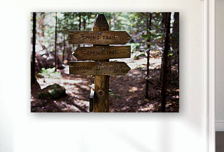 Hiking The Spring Trail Acadia by Andrew Pacheco