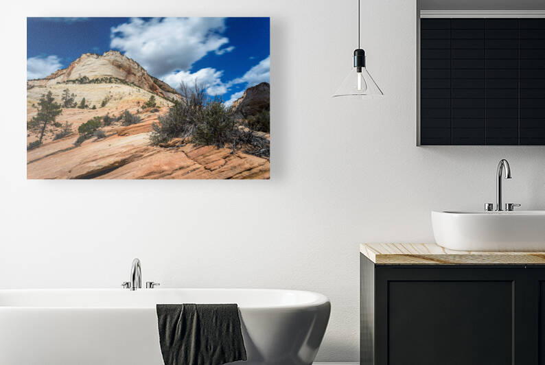 Blue Sky Over Ant Hill Zion National Park by Andrew Pacheco