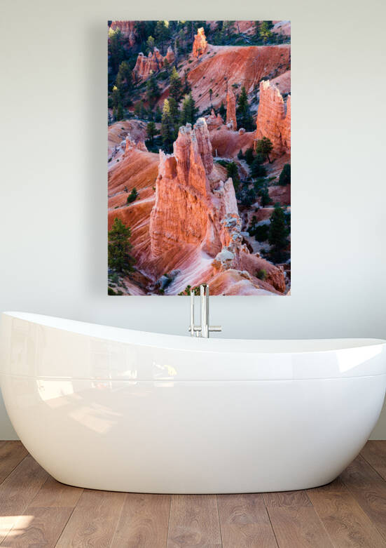 Bryce Canyon Hoodoos Portrait by Andrew Pacheco