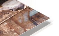 Original Sin HD Metal print