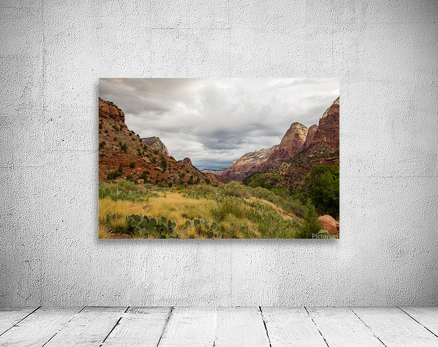 Prickly Pear and Sandstone Zion National Park Wall Preview