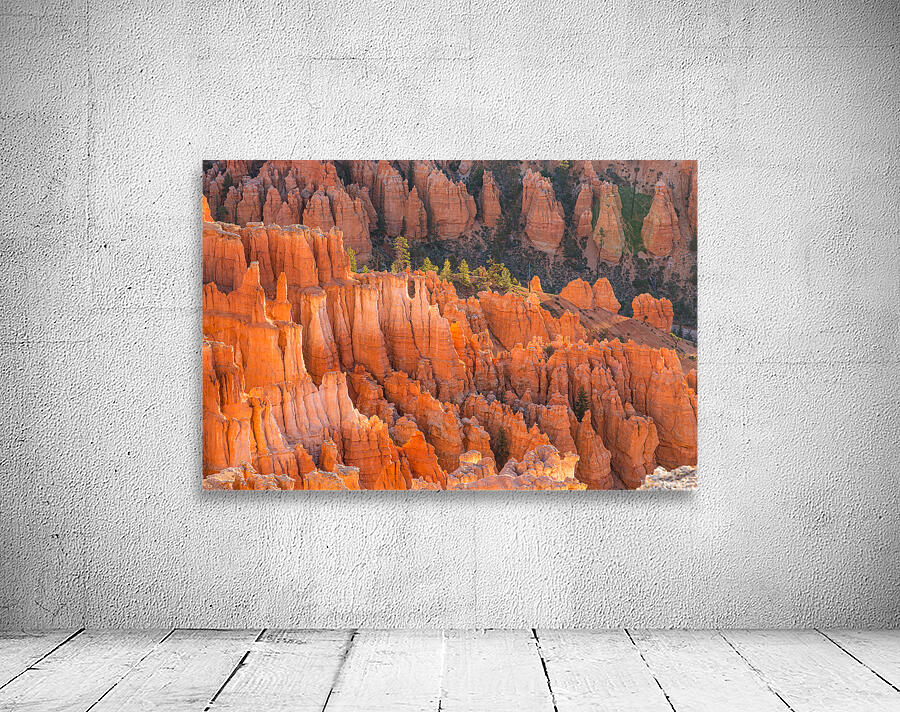 Bryce Canyon National Park Hoodoos Wall Preview