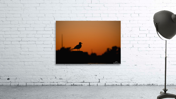 Seagull Silhouette Wall Preview