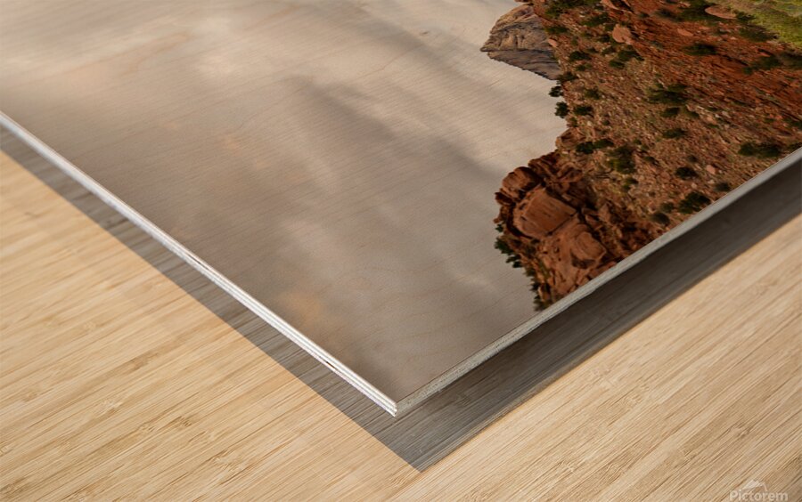 Prickly Pear and Sandstone Zion National Park Wood print