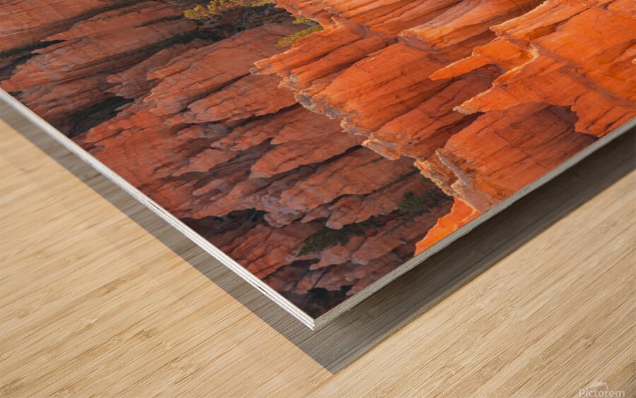 Bryce Canyon National Park Hoodoos Wood print