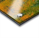 COLOR TRANSITION Acrylic print