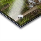 WATER PATH Acrylic print