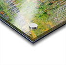Aspen Forest Acrylic print
