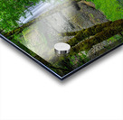 SILVER FALLS OREGON  2 Acrylic print