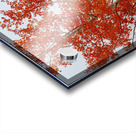 RED ORANGE TRANSFORMATION 2 Acrylic print