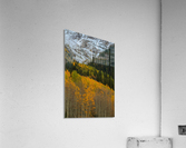 ASPEN  RISE Acrylic Print