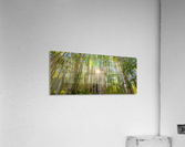 STARSHINE Acrylic Print