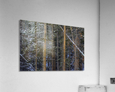 SNOW OUTLINES Acrylic Print