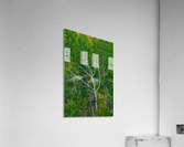BRANCHING OUT Acrylic Print
