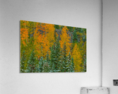 COLOR TRANSITION Acrylic Print