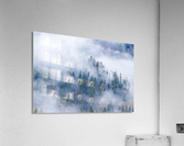 FOREST IN THE CLOUDS Acrylic Print