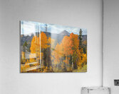 Autumn Encounter At Engineer Mountain Acrylic Print