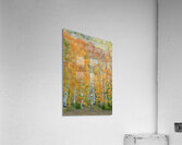 Aspen Glory Acrylic Print
