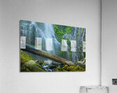 Proxy Falls Acrylic Print